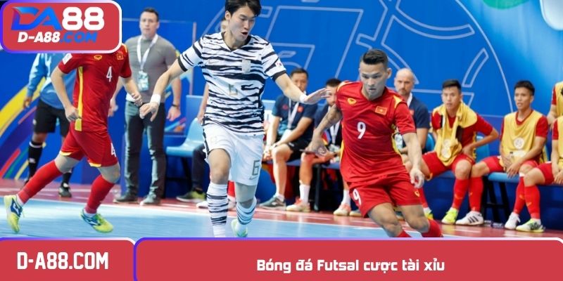 Bóng đá Futsal cược tài xỉu